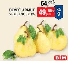 DEVECİ ARMUT KG DEVECİ ARMUT KG